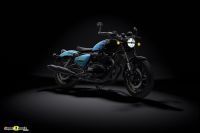 Shotgun_6505