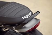 Triumph_Speed400andScrambler400x_042