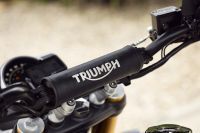 Triumph_Speed400andScrambler400x_100