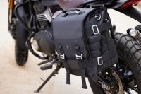 Triumph_Speed400andScrambler400x_118
