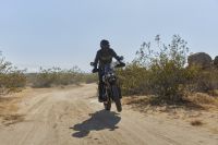 Triumph_Speed400andScrambler400x_130