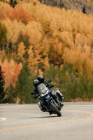 Ndp_Triumph_PromocionesPrimavera23_09
