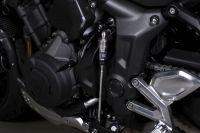 Ndp_Triumph_PromocionesPrimavera23_19
