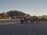 Ndp_Triumph_Tiger900_2024_01