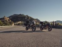 Ndp_Triumph_Tiger900_2024_02