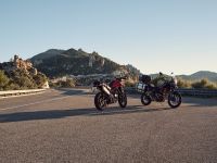 Ndp_Triumph_Tiger900_2024_07