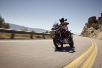 Ndp_Triumph_Tiger900_2024_24
