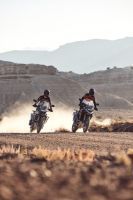 Ndp_Triumph_Tiger900_2024_28