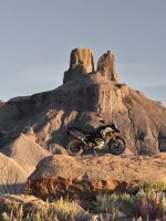 Ndp_Triumph_Tiger900_2024_35