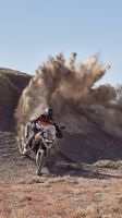 Ndp_Triumph_Tiger900_2024_37