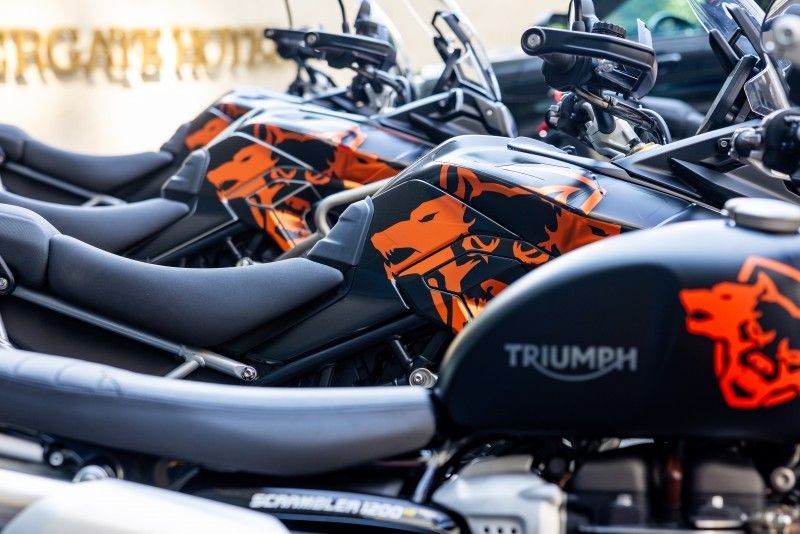 Triumph COD 20240827 102747 0223 SNH