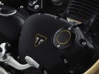 Ndp_Triumph_Bonneville_Bobber_TFC_13