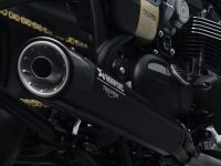 Ndp_Triumph_Bonneville_Bobber_TFC_17