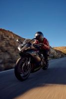NdP_Triumph_Daytona660_019