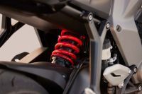 NdP_Triumph_Daytona660_068