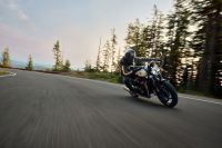 Ndp_Triumph_SpeedTwin1200_87