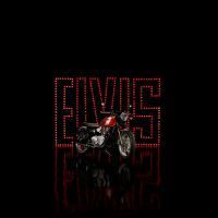 MY25_BonnevilleT120_Elvis_004