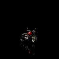 MY25_BonnevilleT120_Elvis_009