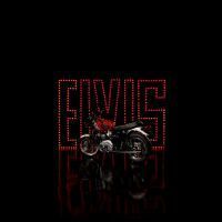 MY25_BonnevilleT120_Elvis_010