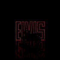 MY25_BonnevilleT120_Elvis_012