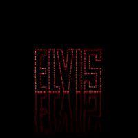 MY25_BonnevilleT120_Elvis_017