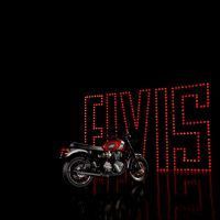 MY25_BonnevilleT120_Elvis_018