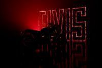 MY25_BonnevilleT120_Elvis_022