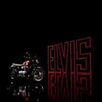 MY25_BonnevilleT120_Elvis_030