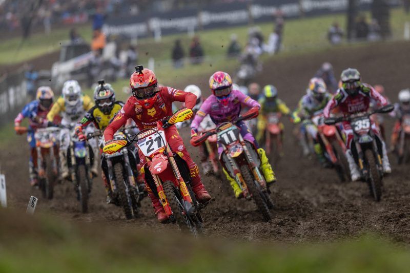 FERNANDEZ MXON