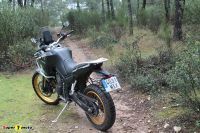 Kove800x_2025_23