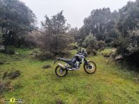 Kove800x_2025_50