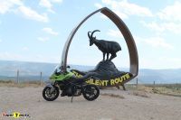 TigerSport660_35