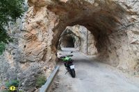 TigerSport660_45