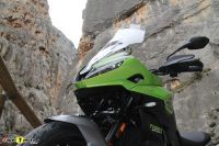 TigerSport660_54