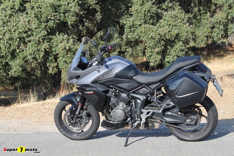TigerSport800 17