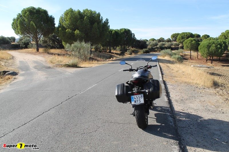 TigerSport800 07