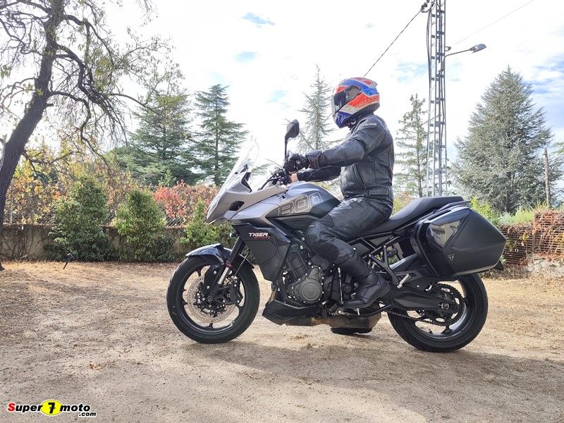 TigerSport800 47