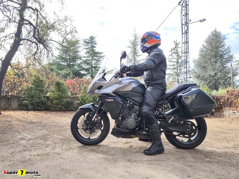TigerSport800 48