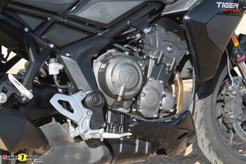 TigerSport800 63
