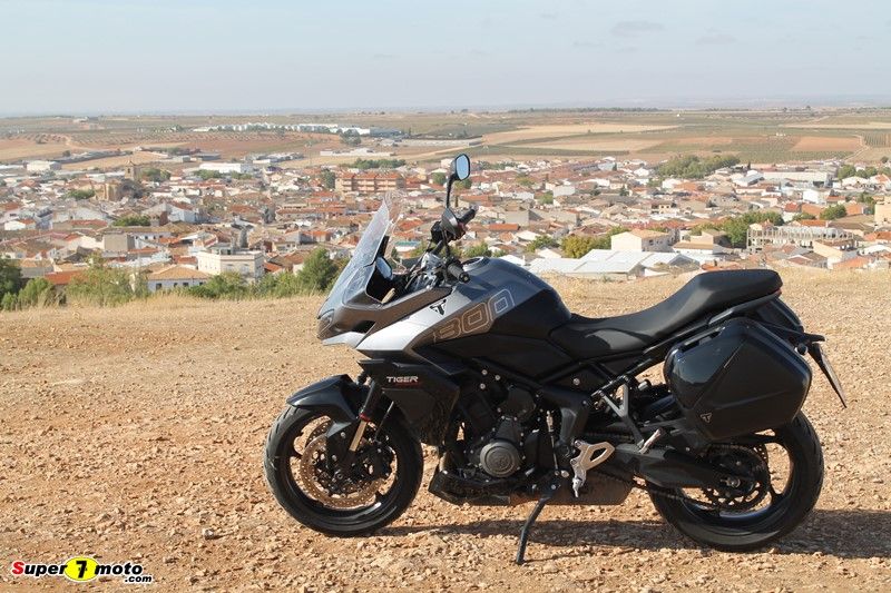 TigerSport800 74
