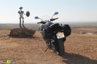 TigerSport800_01