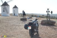 TigerSport800_02