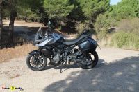 TigerSport800_04
