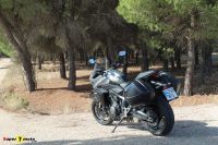 TigerSport800_06