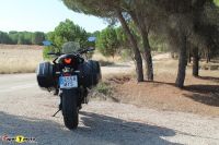 TigerSport800_07