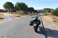 TigerSport800_23
