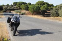 TigerSport800_32