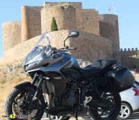 TigerSport800_44