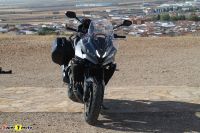 TigerSport800_54