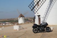 TigerSport800_56